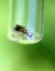 [image 3/bee6593/jpg]