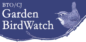 Garden Bird Watch