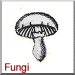 Fungi