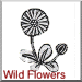 Wild Flowers