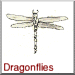 Dragonflies