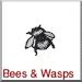 Bees and Wasps