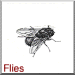 Flies