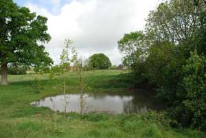 Pyle Farm Pond